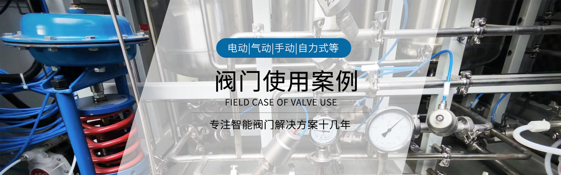 閥門案例